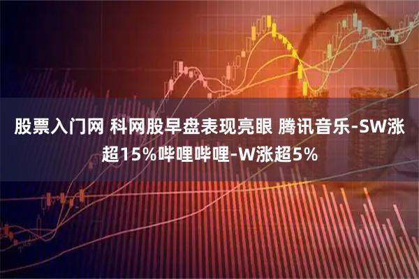 股票入门网 科网股早盘表现亮眼 腾讯音乐-SW涨超15%哔哩哔哩-W涨超5%